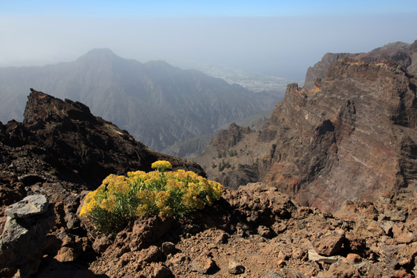 Roque de Los Muchasas